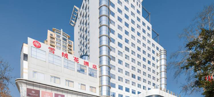 雪绒花酒店(郑州丹尼斯大卫城省人民会堂店)图片