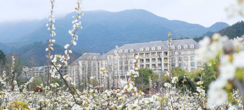 杭州鸬鸟希尔顿花园酒店图片