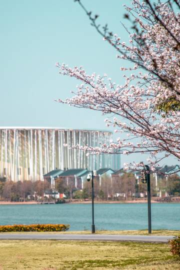 无锡融创皇冠假日酒店图片