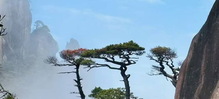 忘忧云庭·360º环山森林·泳池·庭院·美宿(三清山风景区店)图片