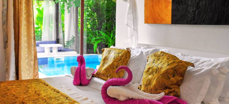 Carpe Diem Villas & Resort 潜水及住宿度假村(Carpe Diem Villas & Resort)图片
