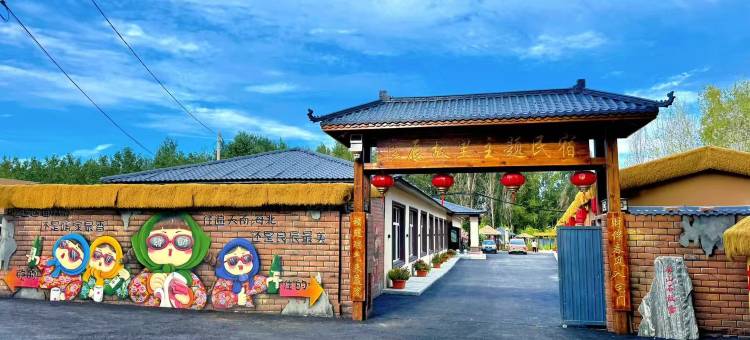 良辰故里主题民宿(长春龙嘉国际机场高铁站店)图片