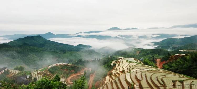 崇义观山悦客舍图片