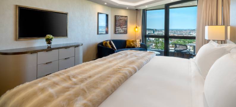 苏黎世FIVE豪华城市度假村(Five Zurich - Luxury City Resort)图片