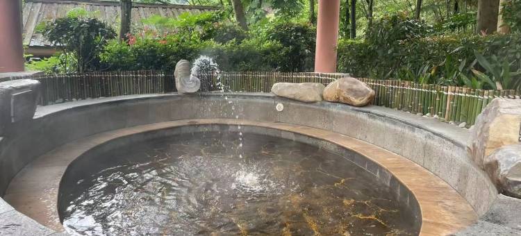 宁乡灰汤华天城温泉度假酒店图片