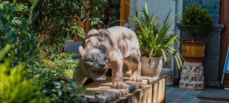 洱源泰美时光民宿图片