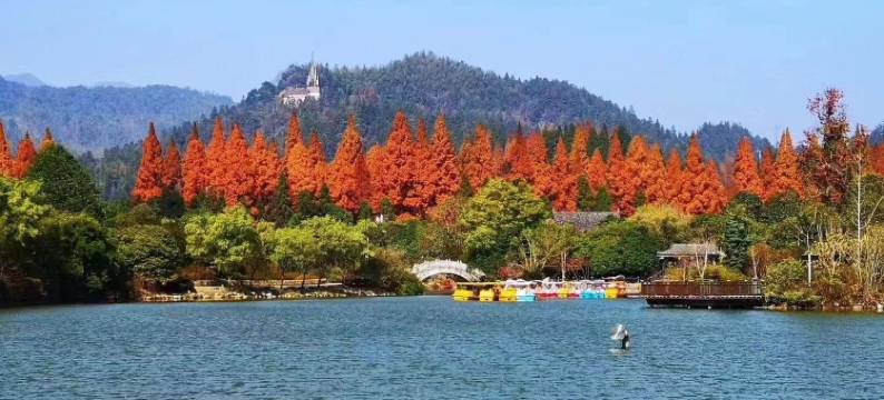 云山麓.泊心民宿(井冈山游客服务中心店)图片