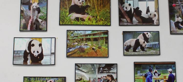 宜致酒店(广州中山大学附属第一医院东山口地铁站店)图片