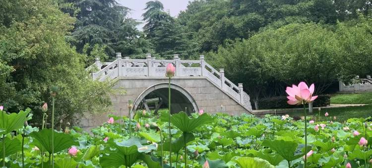 淮南煤矿宾馆图片