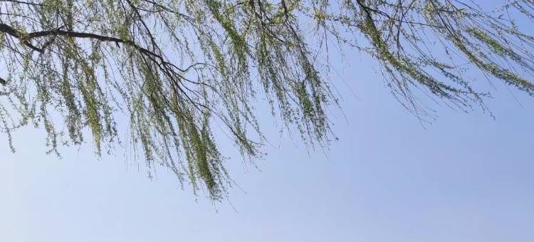 柏悦商务宾馆(南昌县莲塘大道五中店)图片