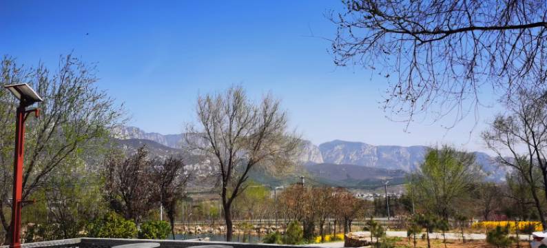 登封禾居民宿(禅宗少林音乐大典店)图片