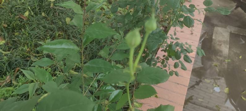 无锡尚佳民宿图片