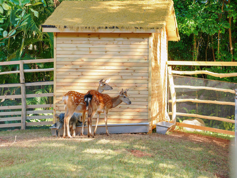 厦门佰翔软件园酒店(湖里区店)