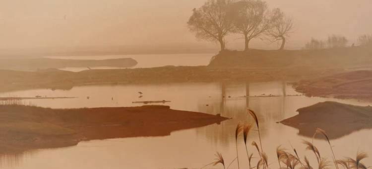 岳阳汀兰别院民宿图片