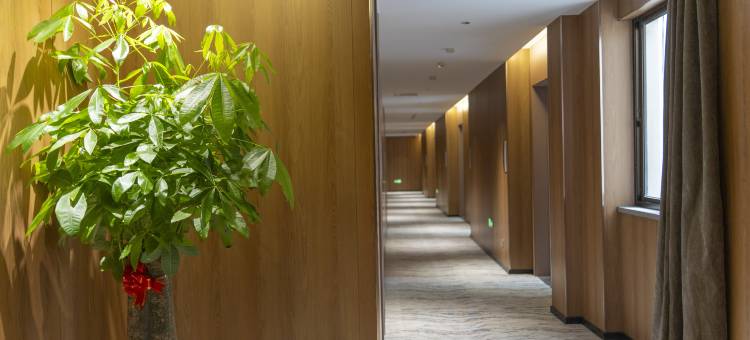 梧品·遇见百草园·树下奇遇时光简奢酒店(绍兴鲁迅故里景区店)图片