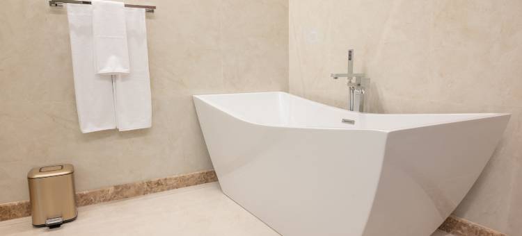 芬德尔酒店 فندق فندر(Vender Hotel)图片