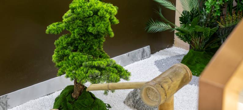 南湖酒店(亳州学院亳州高铁南站店)图片