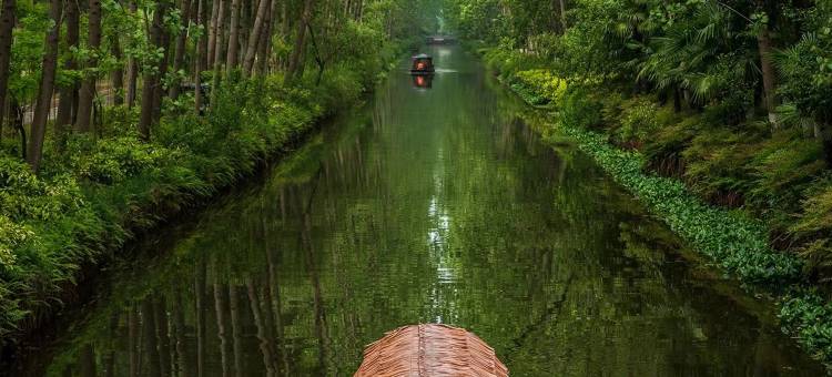 一支百合智慧酒店(合肥滨湖竹园地铁站店)图片