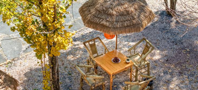 有间花园・Bloom Lodge庭咖・360°野奢度假别墅(腾冲旅游客运站店)图片