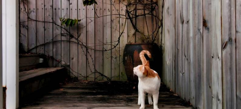 湛江特呈红岛休闲度假湾酒店图片