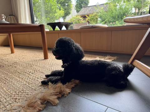 都江堰兰舍·花园民宿(青城山高铁站店)图片