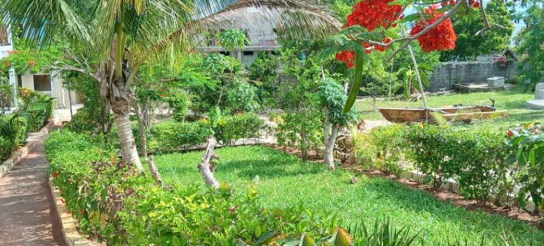 马贾尼微风旅馆(Majani Breeze)图片