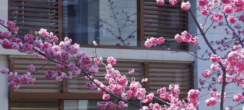 昆明华邑酒店(滇池)图片