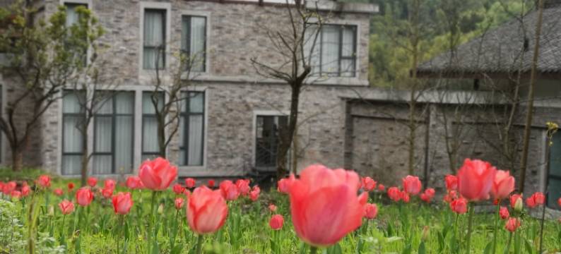 邛崃源窝子酒庄图片