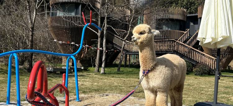 景德镇美集•观山月宠物主题酒店图片