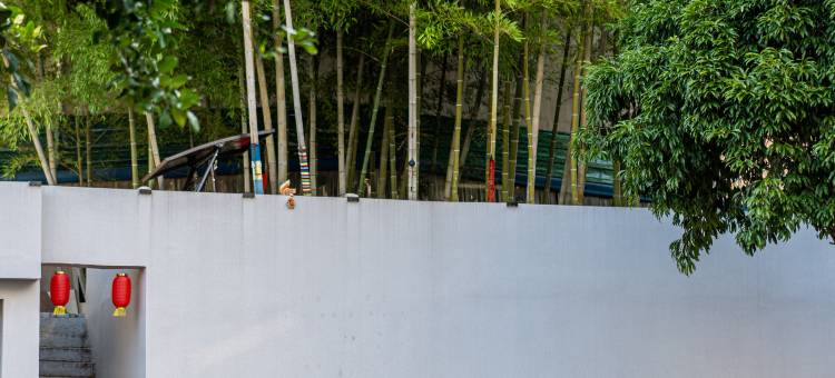 景德镇青雨轩民宿(人民广场陶阳里店)图片