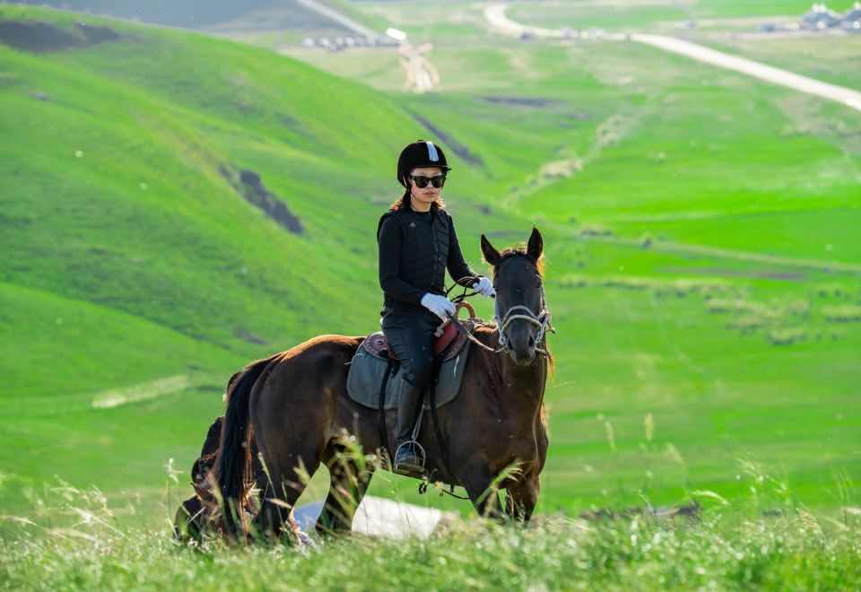 Hulunbuir Old Barag Banner 190 Horizon Grassland Nomadic Tribe Hotel Overview