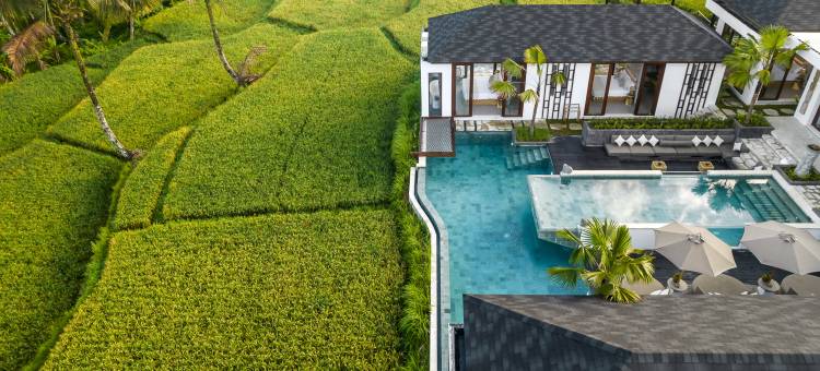 米娅别墅(Villa Mia by BaliSuperHost)图片