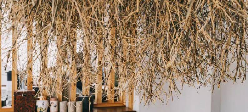 梵间轻舍民宿(桂林吾悦广场店)图片