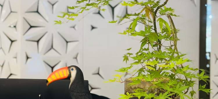 芒市柏栎荟舍酒店(德宏芒市机场店)图片