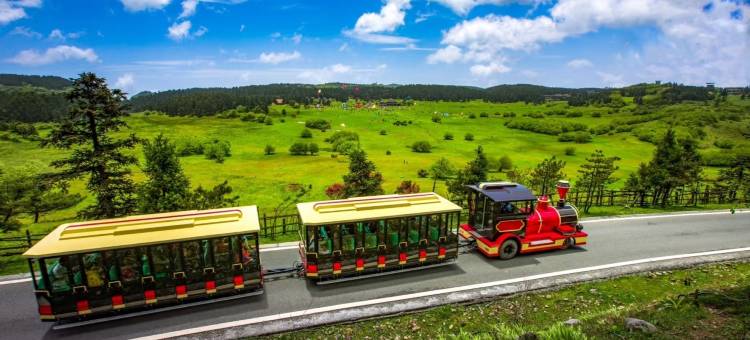 花筑·仙女山夜宴客栈(游客接待中心店)图片