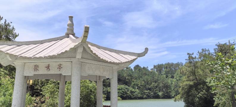 桐城雾聚茶谷民宿图片