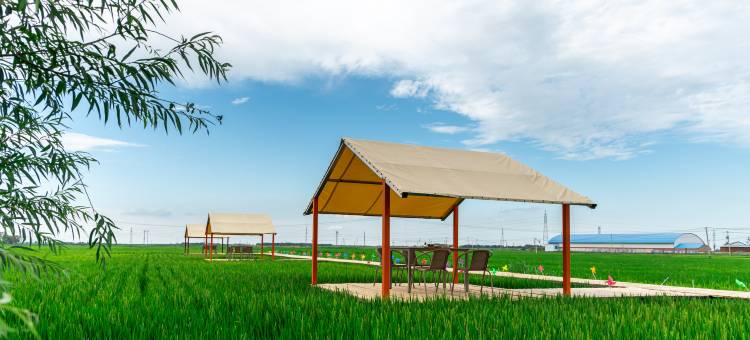 花筑·安代稻田居民宿(查干湖站店)图片