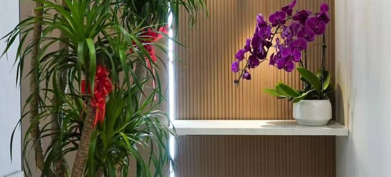 枫如家民宿图片