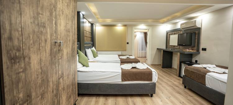 米拉套房塔克西姆(MİLA SUİTES TAKSİM HOTEL)图片