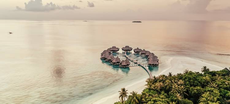 可可棕榈杜尼克鲁酒店(Coco Palm Dhuni Kolhu)图片