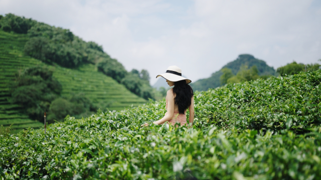 英德·松香山舍The Rosin Valley Villa & SPA（积庆里仙湖店） Hotel Overview