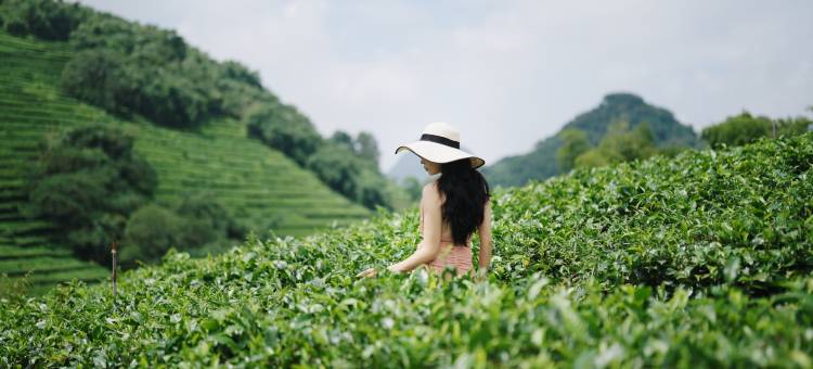 英德·松香山舍The Rosin Valley Villa & SPA(积庆里仙湖店)图片