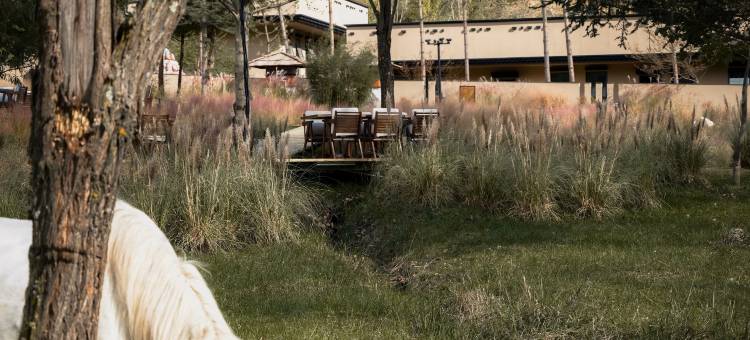 九寨沟仰望星空·Vacilando度假庄园 (九寨隐世店)图片