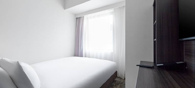 相铁FRESA INN 北滨(Sotetsu Fresa Inn Kitahama)图片