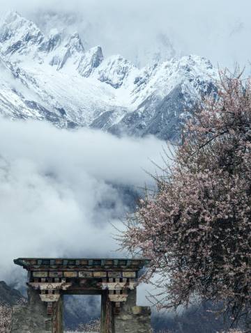 桃花韵酒店(索松店)图片