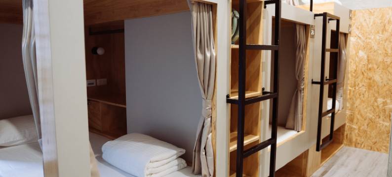 虎睏 The Good Sleep图片