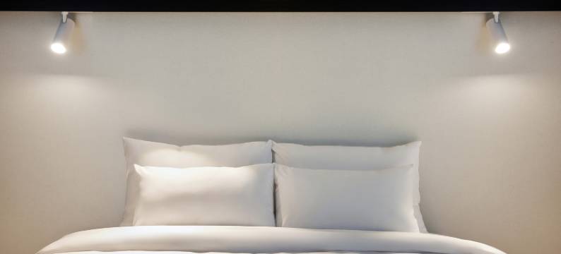 汝矣岛公园酒店(Yeouido Park Hotel)图片