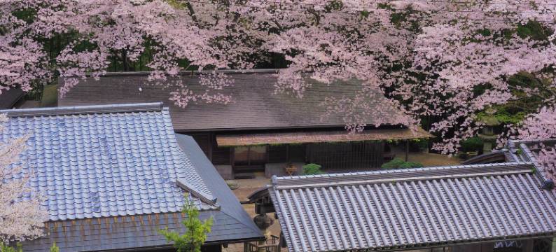 樱泉会馆(Oukai Villa Izumi)图片