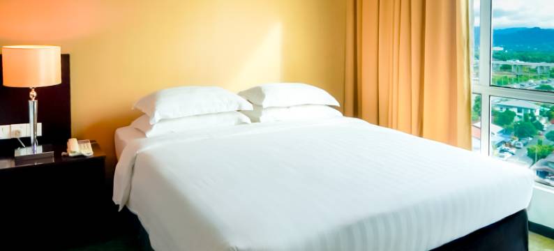 哥打京那巴鲁婆罗洲酒店&机场酒店(Pan Borneo Hotel Kota Kinabalu)图片