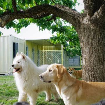 湄洲岛李家小院民宿(莲池澳沙滩店)图片